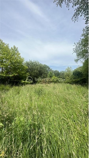 foret à la vente -   64990  URCUIT, surface 4266 m2 vente foret - UBI473945885